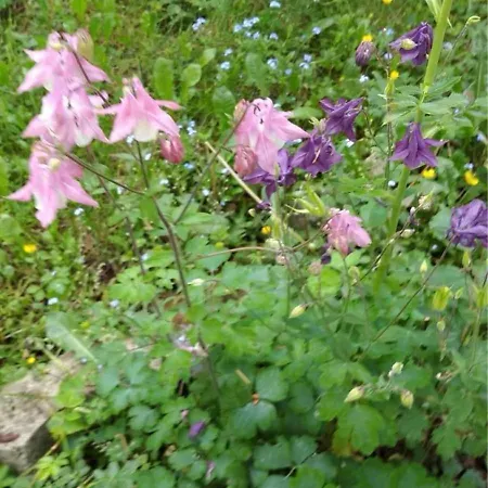 Comfort House Near Pyramides Visoko