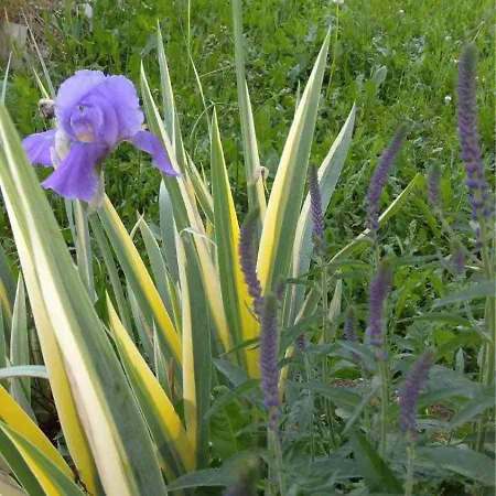 Apartman Comfort House Near Pyramides *